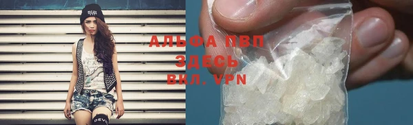 дмт Козельск