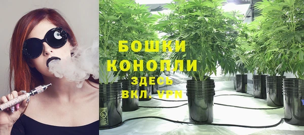 ECSTASY Кодинск